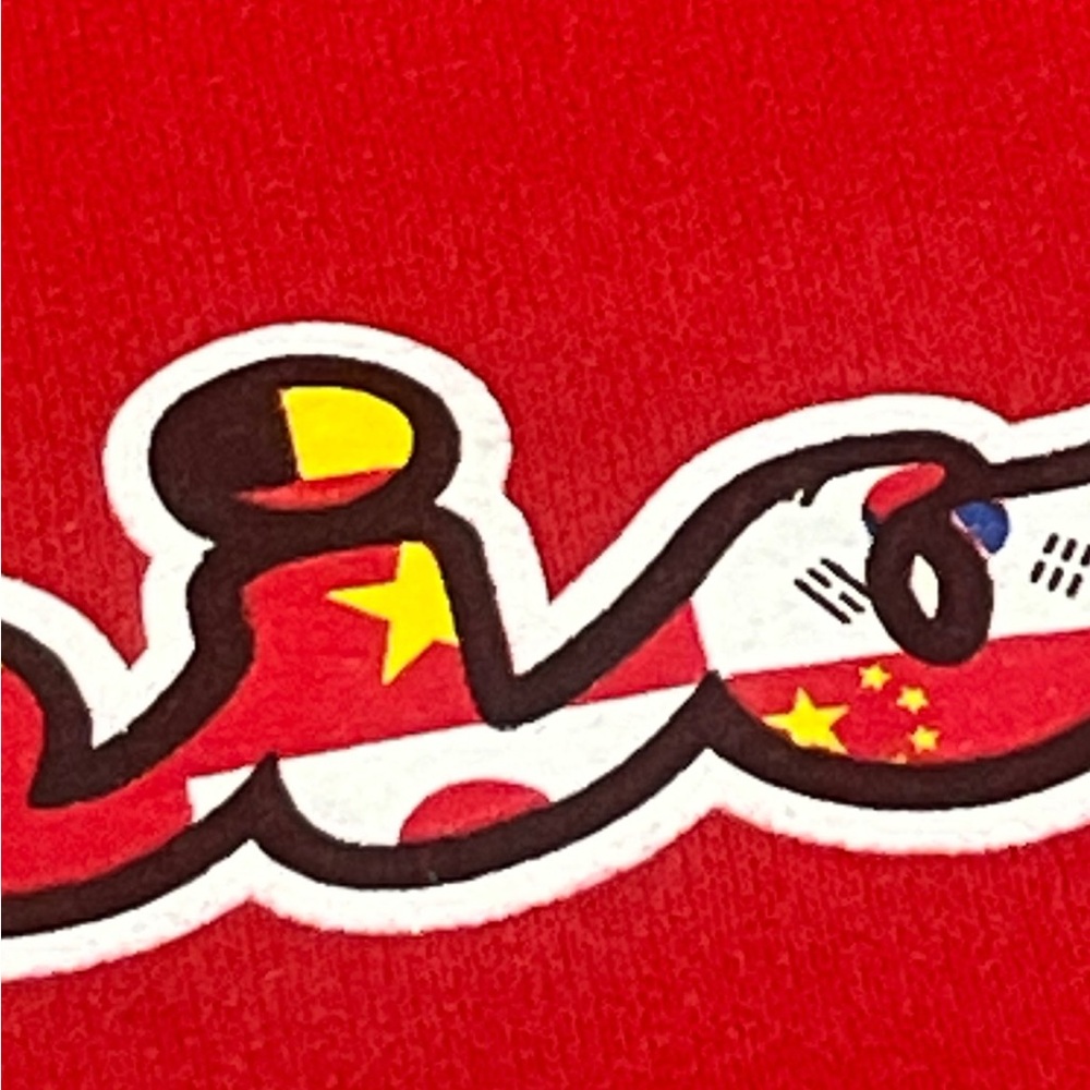 Flags of the World Champion‎ Hoodie Sweatshirt Red size large - Picture 11 of 12